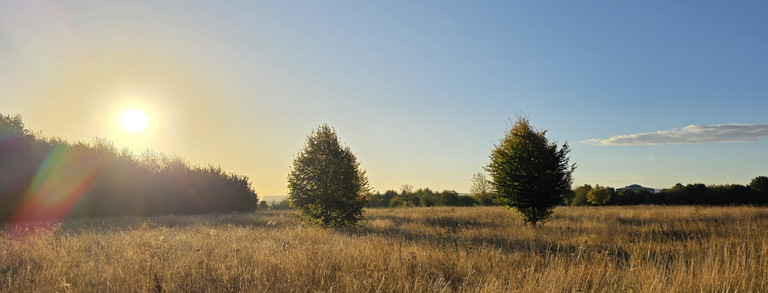 Herbst in Dortmund